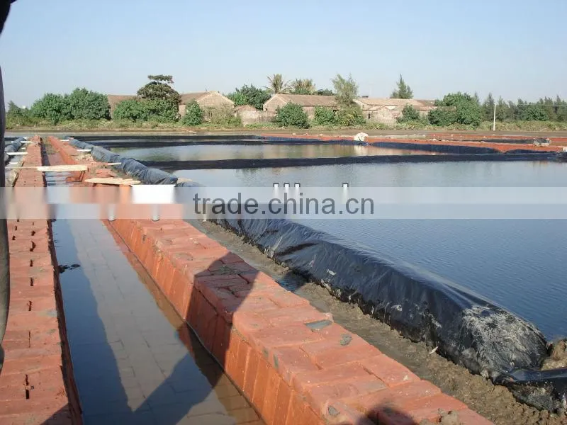 High quality HDPE plastic liner in ponds/koi pond/water pool