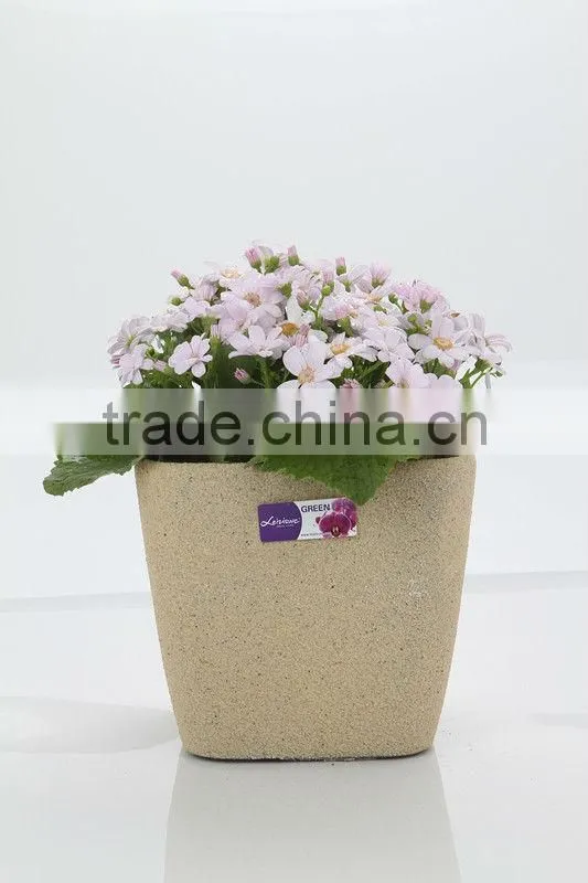 beautiful square plastic frosted flower nursery flower pot