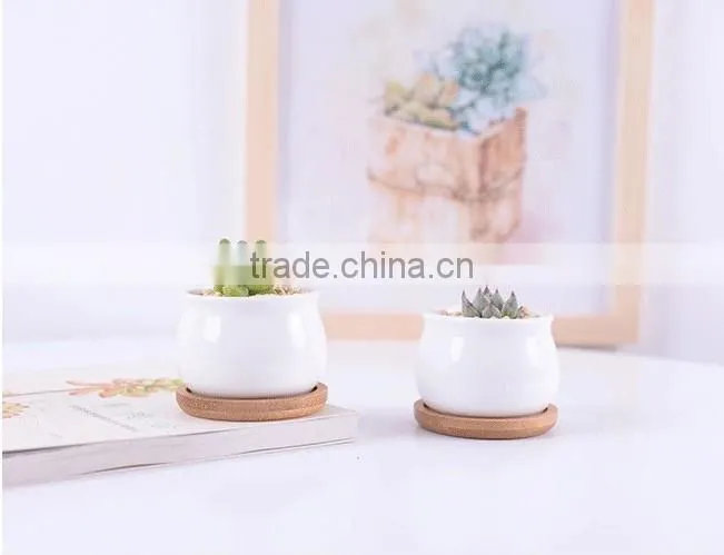 New design ship shape colorful ceramic flower pots for livingroom