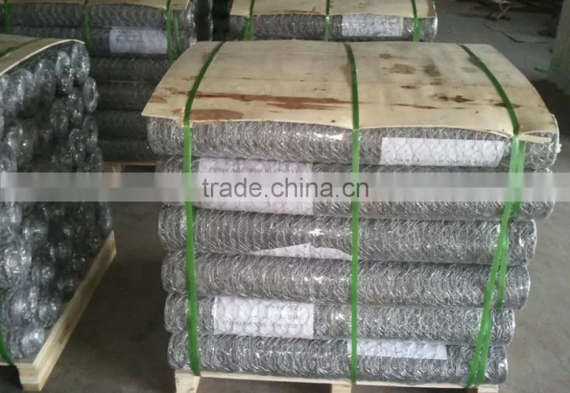 China supplier welded wire mesh