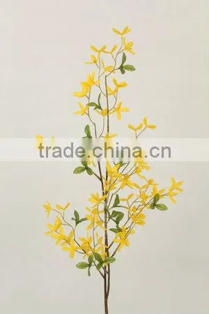 27068P forsythia temple florist