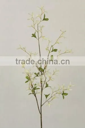 27068P forsythia temple florist