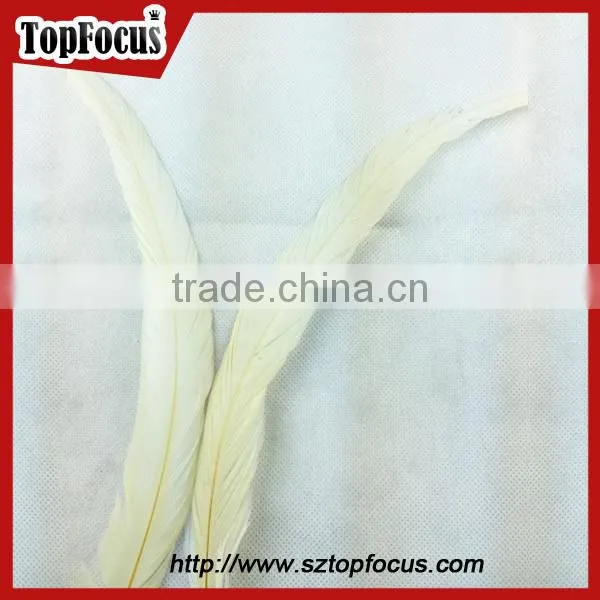 dyed color big long natural grizzly rooster feathers for sale