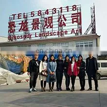 Zigong City Kiyo Science & Technology Co., Ltd. company overview - view 1