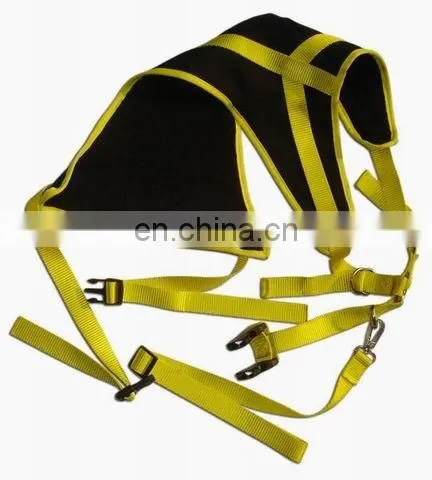 High quality custom dog collar and leash from Factory wholesale