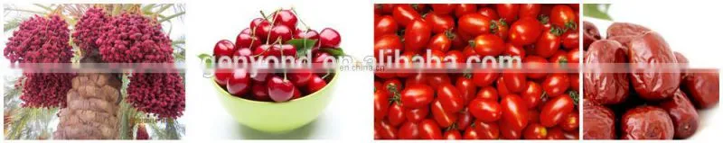 Jujube sorting machine date grading machine