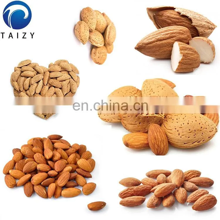 automatic nut cracker jujube hazelnut production line almond processing line almond cracking machine