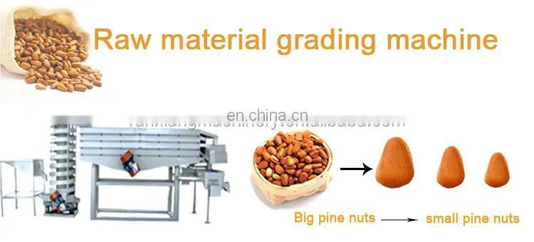 Hot Sale Melon Seeds Peeler Pumpkin Acorn Pine Nut Cracking Machine Snack Seed Nut Production Line