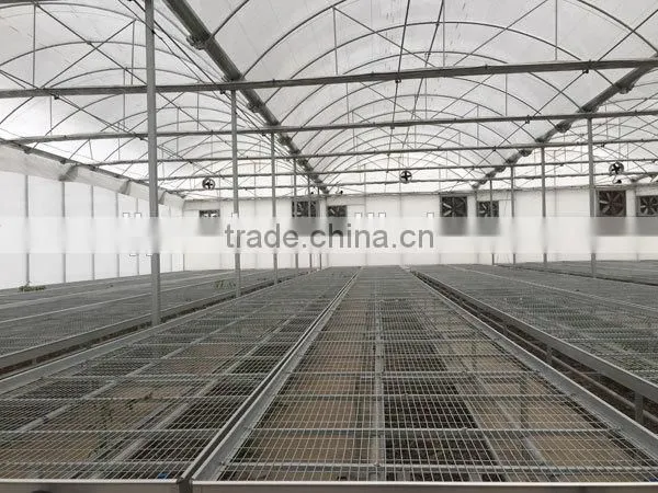agricultural plastic greenhouse