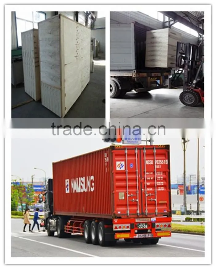 Pasta processing line, macaroni processing line, pasta machine line
