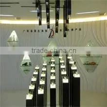 Guangdong Chaoli Motor Co., Ltd. company overview - view 3