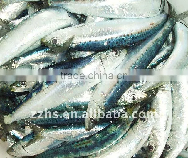 FDA Approval Canned Sardine Fish In Tomato Sauce