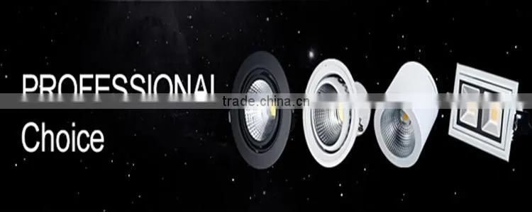 factory price newest high quality 10w LED COB Down Light with wholesale