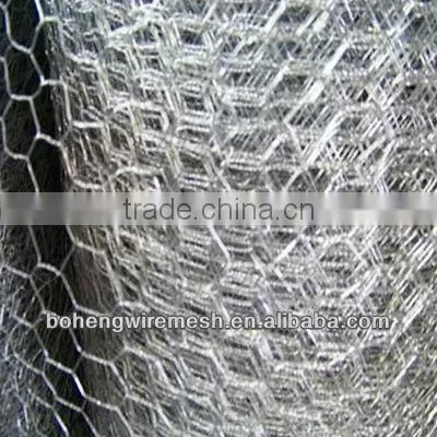 Electro Galvanized Hexagonal Wire mesh