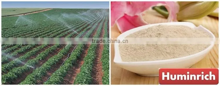 FAQ 14--Huminrich Compound Amino Acid Fertilizer For Vegetables