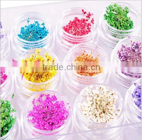 wholesale Nail Art Dry Dried Flowers Decoration With Mix Different Colors