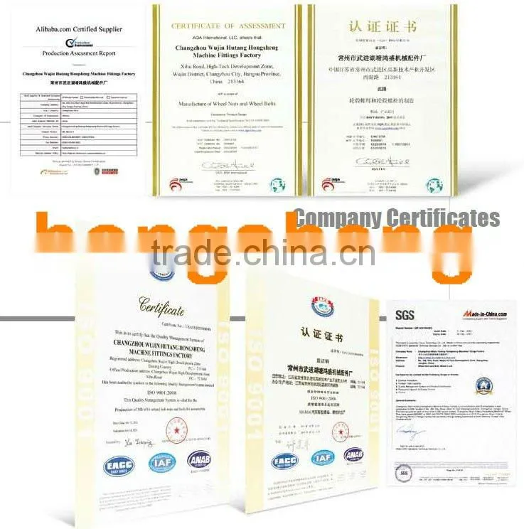 HONGSHENG wheel license plate bolts