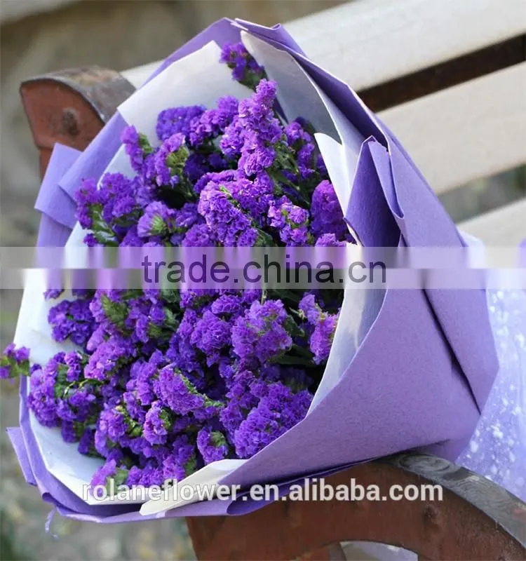the high quality fresh cut myosotis flower to export