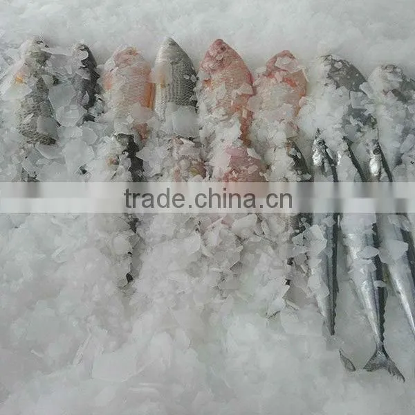 Hot sale China Factory Good Price flake Ice maker (2 ton / 24hours)