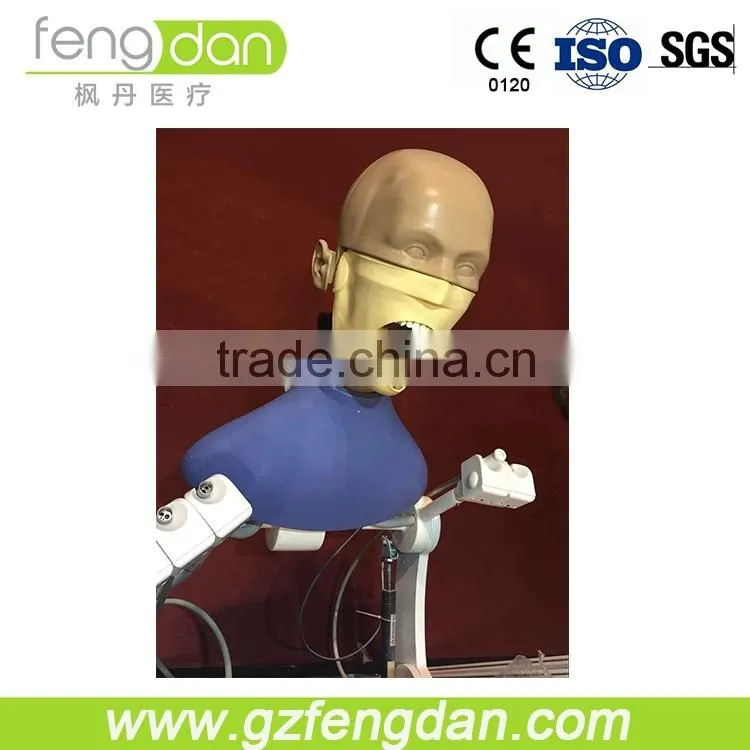 Hot sale advanced easy to operate dental phantom head