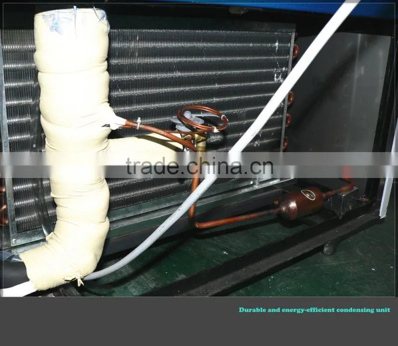 mini blast freezer for quick freezing and blast freezing