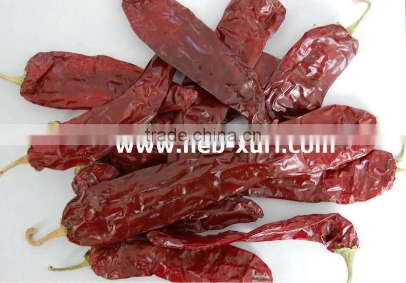 red chili pepper