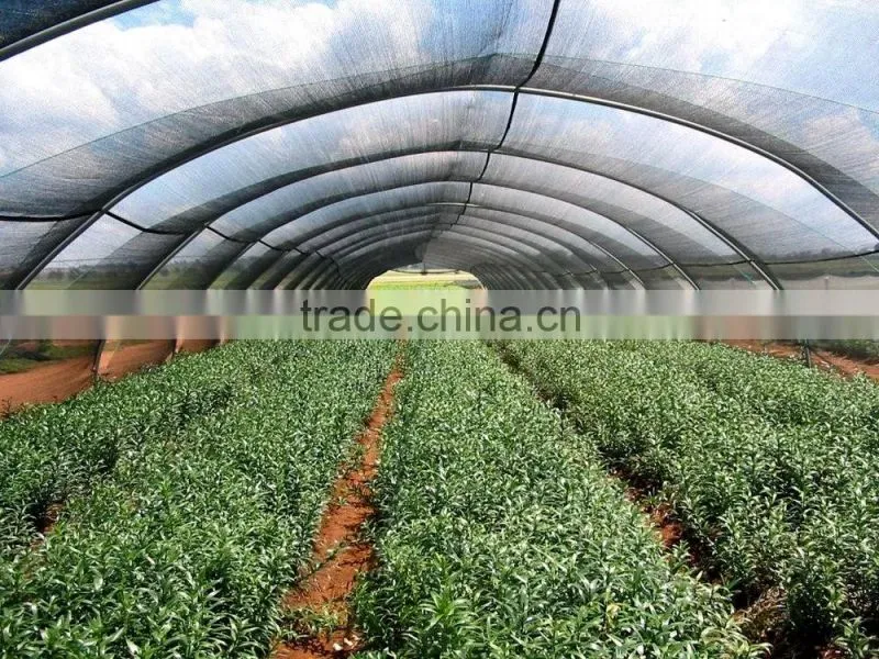 30% agriculture HDPE tape shading net , cheap netting