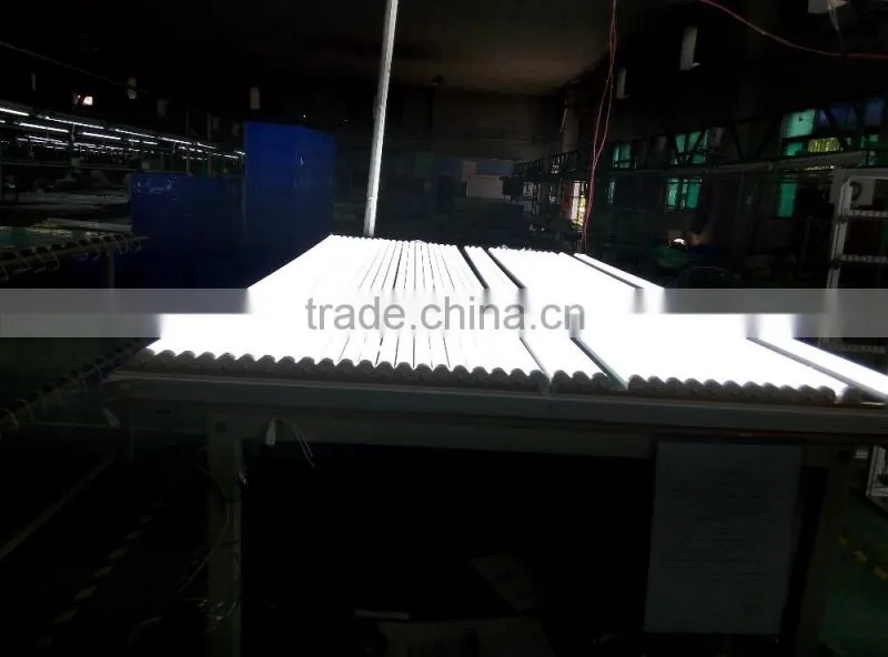 With CE and RoHS certification 2.4M 36W 40W Single Pin led tube high PF Ra>80 2 years wattanty 8ft t8 led tube
