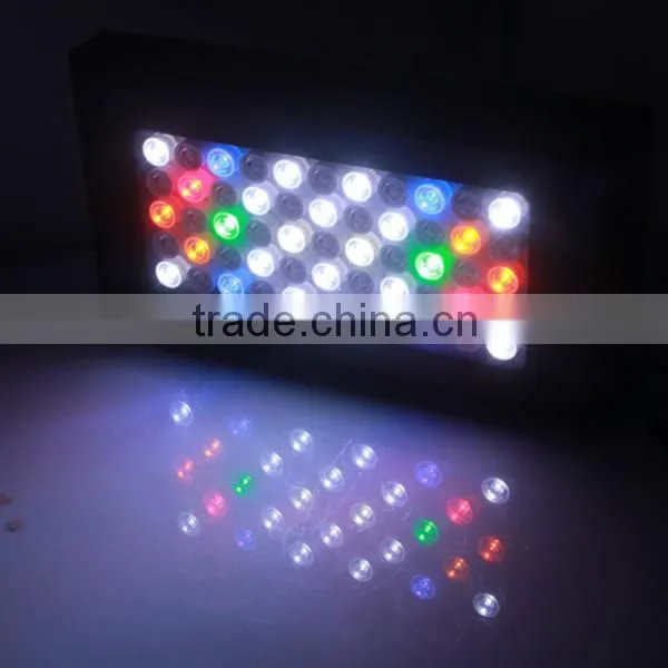 Looking for distributor dimming led aqaurium light 165w 14000K led reef coral lights for fish tank