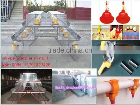 quail battery cages for sale poultry battery cages chicken cages