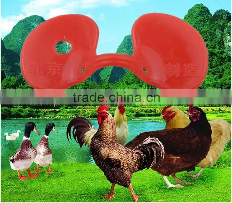 Factory price chicken glasses with good quality