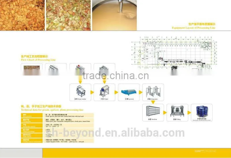 Complete Apricot Fruit Processing Line