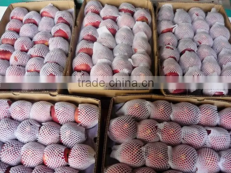red huaniu apples/red delicious apples