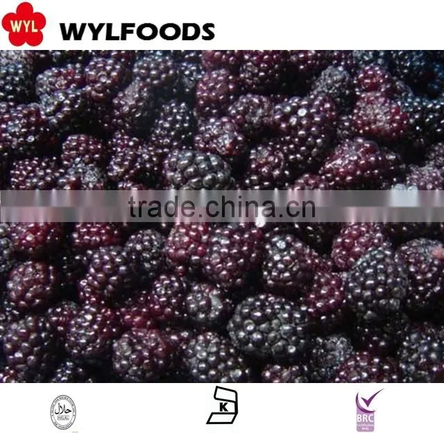 Chian fruite Frozen IQF black berry