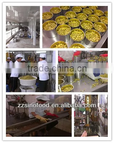 Canned Green Peas Canned Vegetable in Brine with Highly Popular