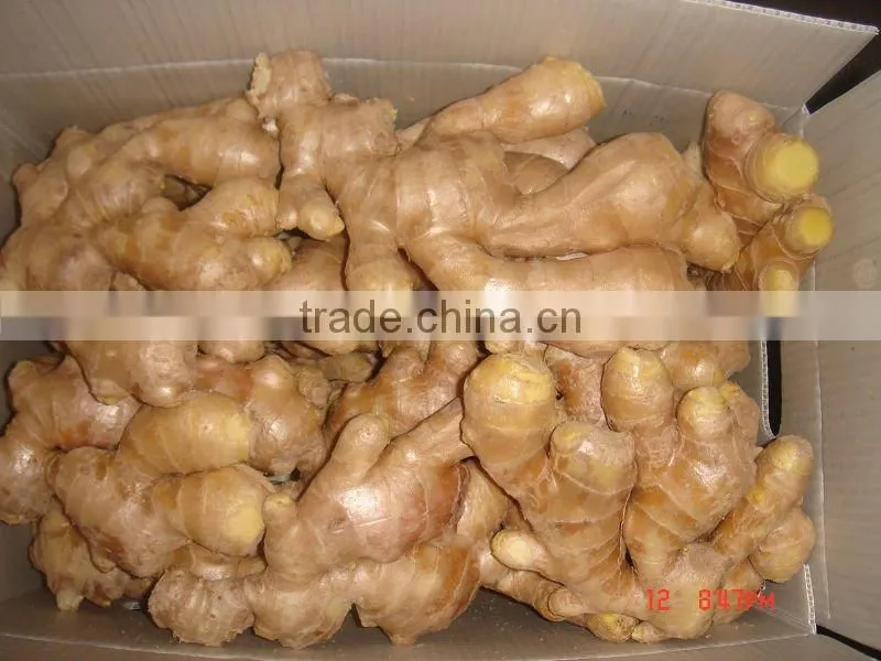 Yellow color fresh ginger