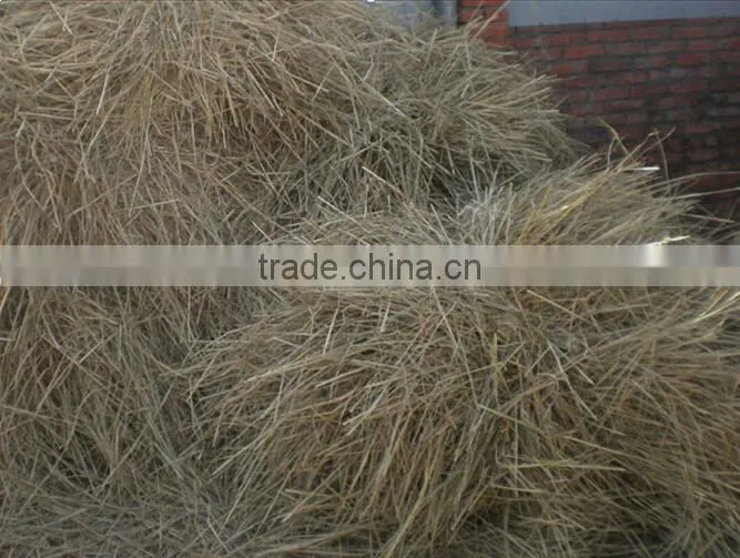 good quality hay band spinning machine/hay band machine/hay band making machine