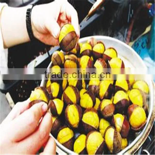 2014 hot sale and good quality Chinese chestnut opening machine 0086-13503826925