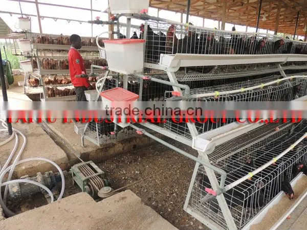TAIYU Foreign Agent and Warehouse Broiler Poultry Equipment