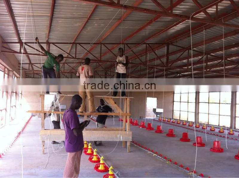 Height Adjustable Automatic Auger Pan Feeder Broiler Machine