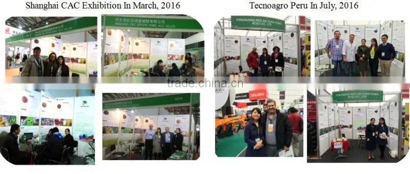 Foliar fertilizer amino acid powder / amino acid chelated trace elements/ amino acid fertilizer