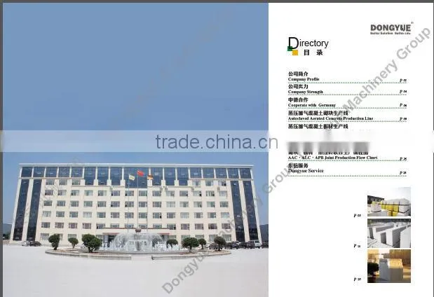 germany technical dongyue brand autoclave aerated concrete blocks production line