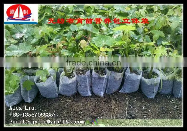 100% PP spunbond non-woven fabric used for non woven Seedling bag