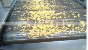 The CY65-II fried maize food/corn flaks machine line/plant