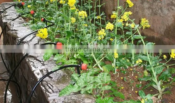 Adjustable head/drops head drip irrigation/micro nozzle/cooperate with 4/7 capillary make using the PE pipe punching