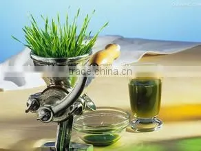 popular product Hand slow vegetable juicer,Blender machine,Wheat grass juicer