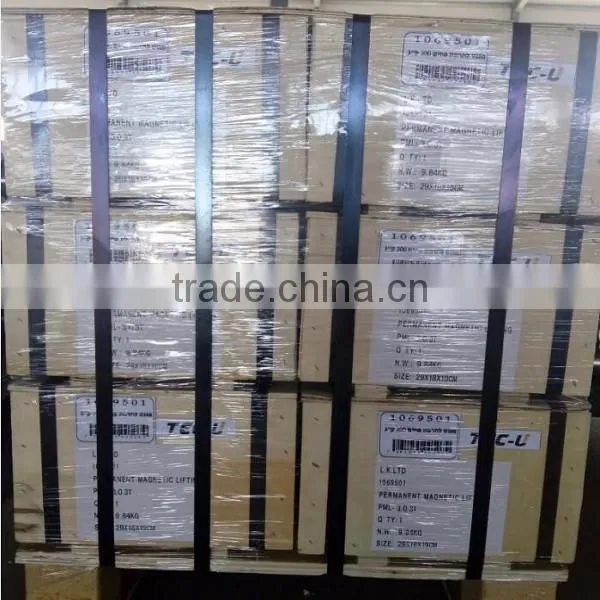 Superior Quality Permanent Magnetic Lifter