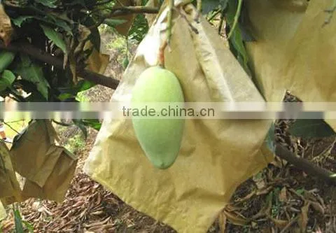 Different sizes fruit protection paper bag