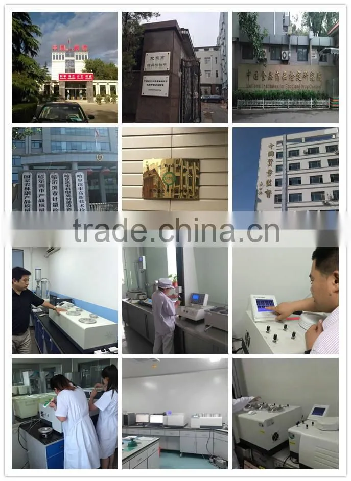 Lab Drying Oven