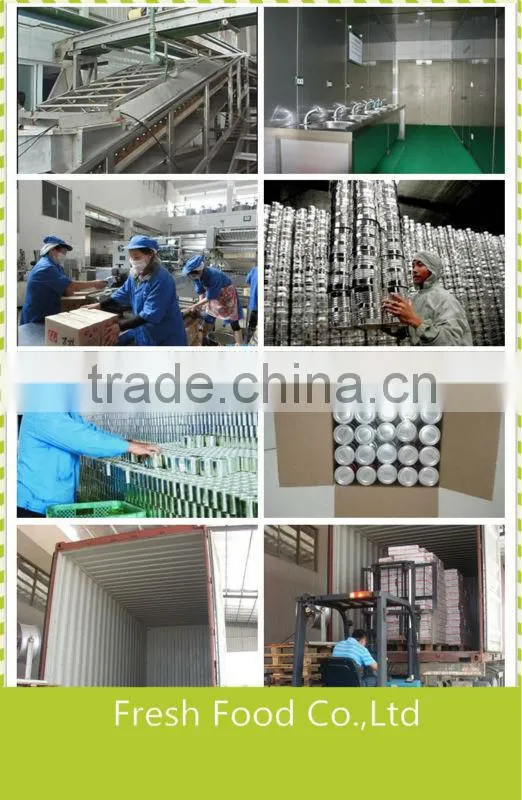 Most popular fish item exporting ingredient canned sardine fish